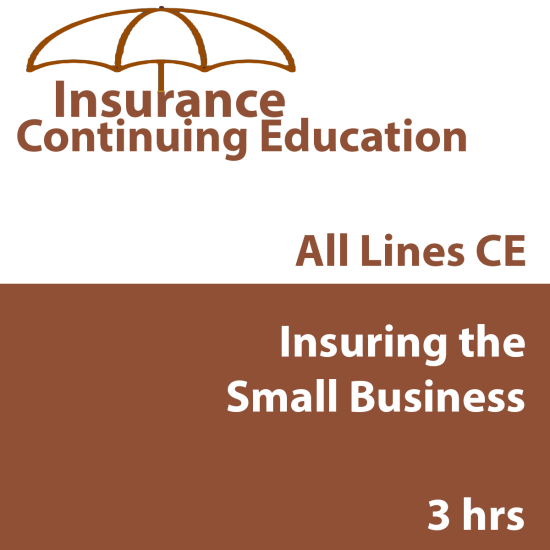Insuring the Small Business (CE) (INSCE015FL3)